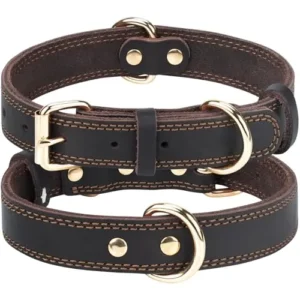 COLLAR PERRO CUERO TALLA S