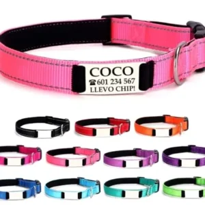 COLLAR PERSONALIZADO CON NOMBRE MASCOTAS PEQUEÑAS