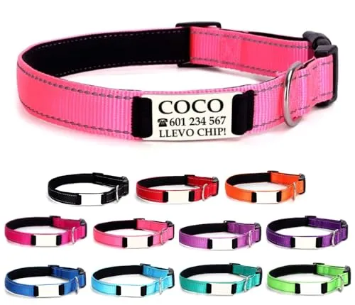 COLLAR PERSONALIZADO CON NOMBRE MASCOTAS PEQUEÑAS
