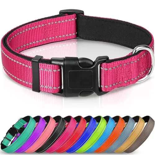 COLLAR REFLECTANTE NYLON PERROS PEQUEÑOS