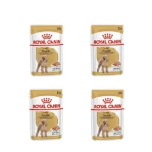 COMIDA HÚMEDA MANTENIMIENTO PELAJE CANICHE - ROYAL CANIN POODLE ADULT