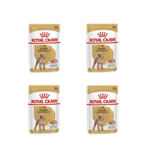 COMIDA HÚMEDA MANTENIMIENTO PELAJE CANICHE - ROYAL CANIN POODLE ADULT