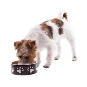 COMIDA PARA PERROS