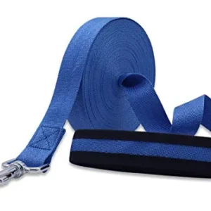CORREA DE ENTRENAMIENTO DE 10M PARA PERROS PEQUEÑOS
