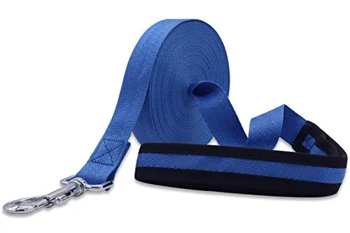 CORREA DE ENTRENAMIENTO DE 10M PARA PERROS PEQUEÑOS
