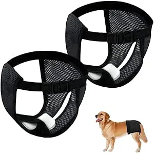 Ceihwa 2pcs Braguitas Perro Celo Hembra M Bragas P