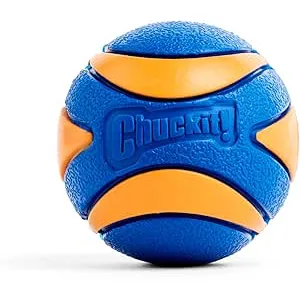 Chuckit! 52068 Ultra Squeaker Ball, 1 Pelota para