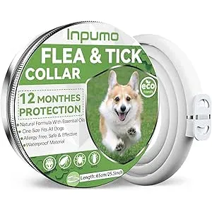 Collar Antiparasitario Perros, Seguro y Eficaz Ant