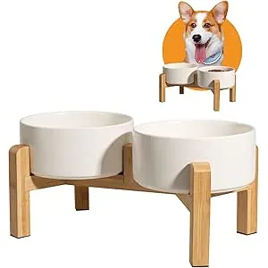 Comedero Perro Elevado Comedero Perros - Comedero