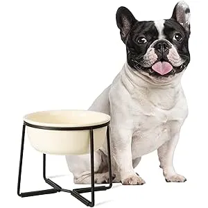 Comedero Perro Elevado de Cerámica - Cuenco Perro