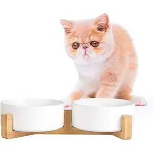 Comedero Perro y Comedero Gato con Soporte Antivue