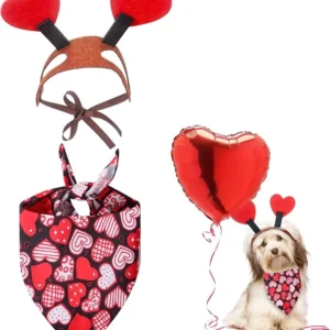 DISFRAZ DE MASCOTA PARA SAN VALENTÍN