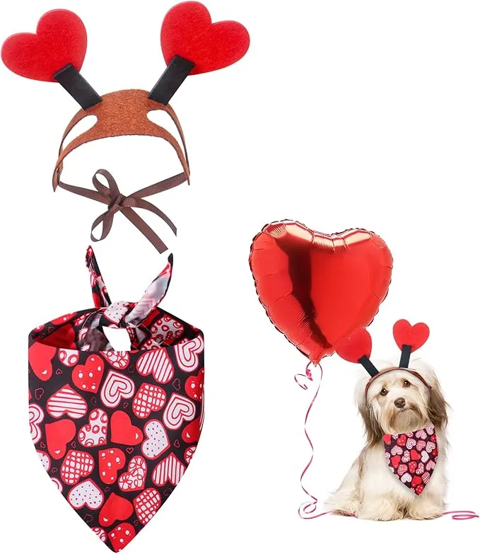 DISFRAZ DE MASCOTA PARA SAN VALENTÍN