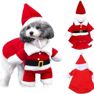 DISFRAZ DE PAPÁ NOEL DE PET
