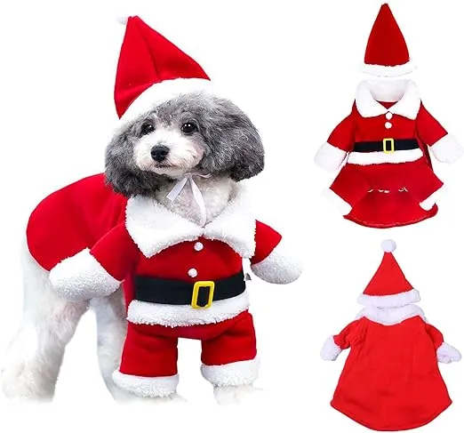 DISFRAZ DE PAPÁ NOEL DE PET