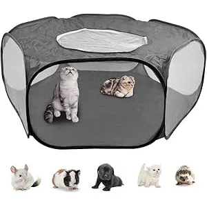 DODUOS Jaula para Animal Pequeño Transparente Tran