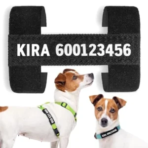 ETIQUETA COLLAR PERRO PERSONALIZADA CON NÚMERO TELÉFONO