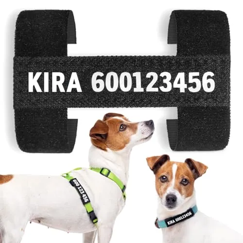ETIQUETA COLLAR PERRO PERSONALIZADA CON NÚMERO TELÉFONO