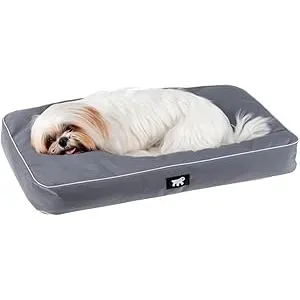 HOGAR PARA PERROS