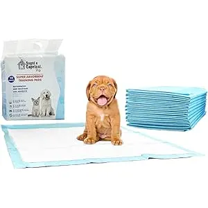 Italian Bed Linen Empapador para Mascotas Pets, Po