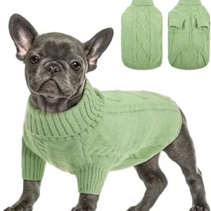 JERSEY PARA CHIHUAHUA, TECKEL O BULLDOG FRANCÉS - VERDE