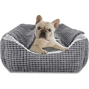 JOEJOY Cama Perro con Manta, Cama Perros Pequeños
