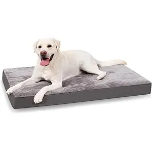 KSIIA Camas Perro Ortopédica Grande, 90x55cm, Cama