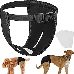 LeerKing 3 Paquetes Bragas para Perros Celo Hembra