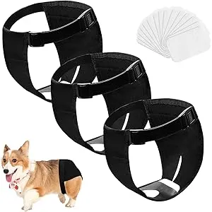 Magrimaxio Pañales para Perros Hembra, Bragas para