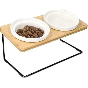 Navaris Set de 2 Cuencos elevados para Mascotas -