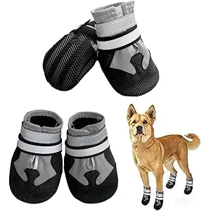 NeuWee Botas para Perros de 4 Piezas, Zapatos Impe