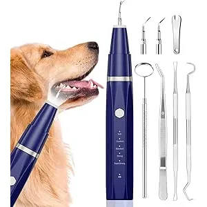 Ni-SHEN Kit de limpieza dental ultrasónica para ma