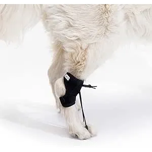 Ortocanis - Corrector Propioceptivo para Perro - K