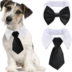 PAJARITA Y CORBATA PARA MASCOTAS TAMAÑO S