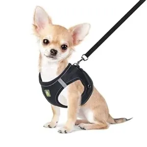 PASEO PARA PERROS