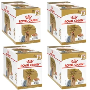 Pack Royal Canin Yorkshire Terrier Adulto
