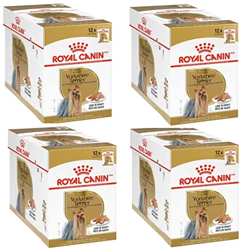 Pack Royal Canin Yorkshire Terrier Adulto
