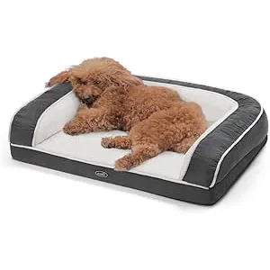 Pecute - Cesta para Perro (76 x 46 x 18 cm), Dispo