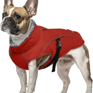 ROPA DE INVIERNO CÁLIDA MASCOTA PEQUEÑA - ROJO TALLA S