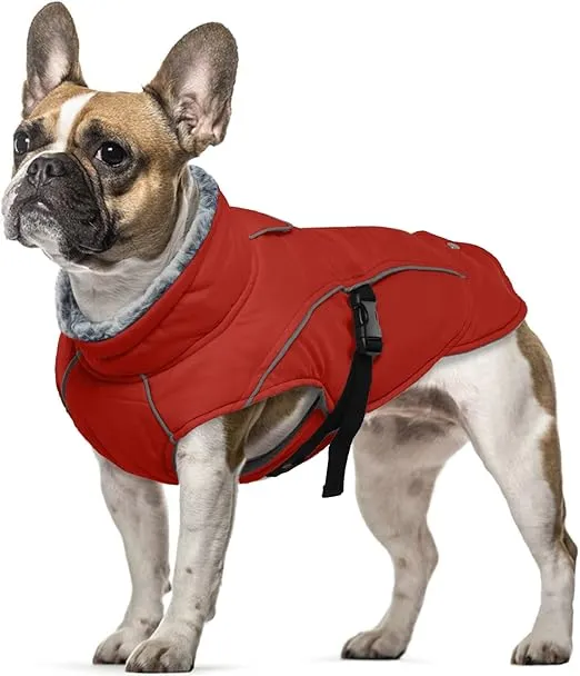 ROPA DE INVIERNO CÁLIDA MASCOTA PEQUEÑA - ROJO TALLA S
