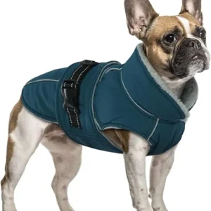 ROPA DE INVIERNO CÁLIDA MASCOTA PEQUEÑA - VERDE TALLA S