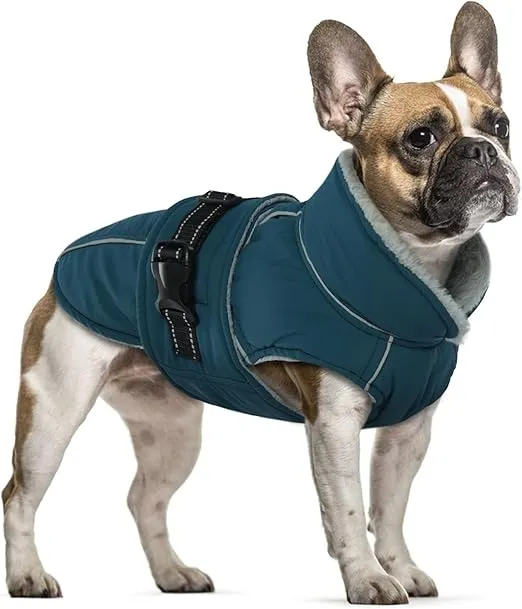 ROPA DE INVIERNO CÁLIDA MASCOTA PEQUEÑA - VERDE TALLA S