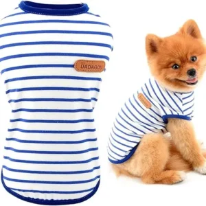 ROPA DE VERANO PARA PERRO DE TALLA S