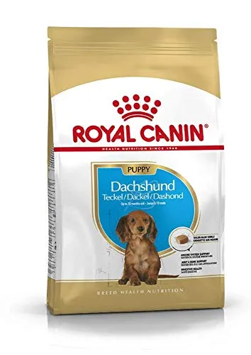 Royal Canin Comida para Perros Dachshund Puppy Dry Mix 1,5 kg