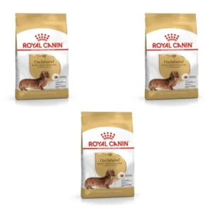 Royal Canin Dachshund Adulto, Paquete Triple 3 x 500 g