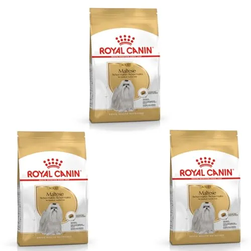 Royal Canin Maltese Adulto, Pienso seco para Maltés Adultos a Partir de 10 Meses - Paquete Triple, 3 x 500 g