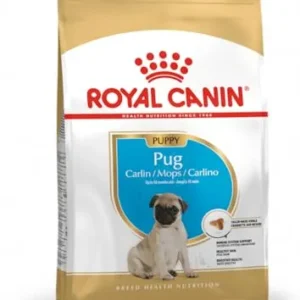 Royal Canin carlino junior pienso para pug joven