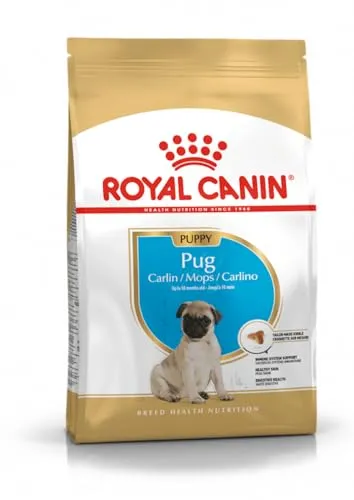 Royal Canin carlino junior pienso para pug joven