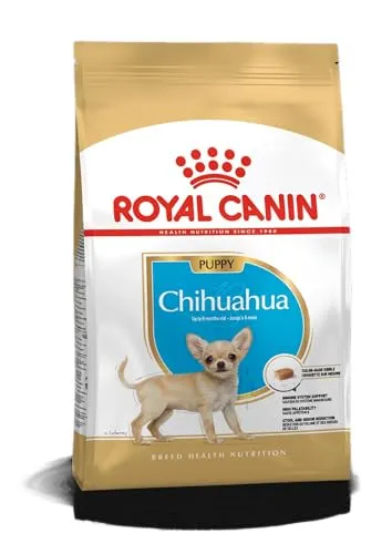 Royal canin Chihuahua junior pienso para Chihuahua joven