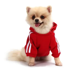 SUDADERA PARA CHIHUAHUA CÓMODA Y CÁLIDA